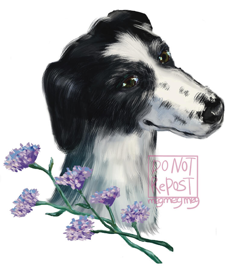 Pet portrait